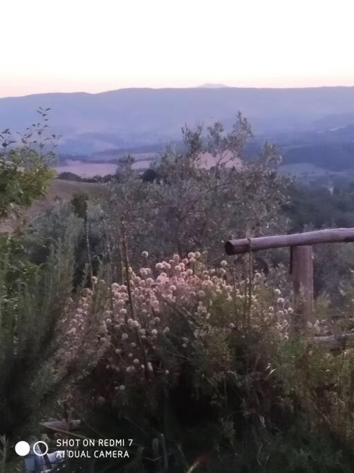 Casa Vacanza In Casale Vicino Orvieto Ficulle Экстерьер фото