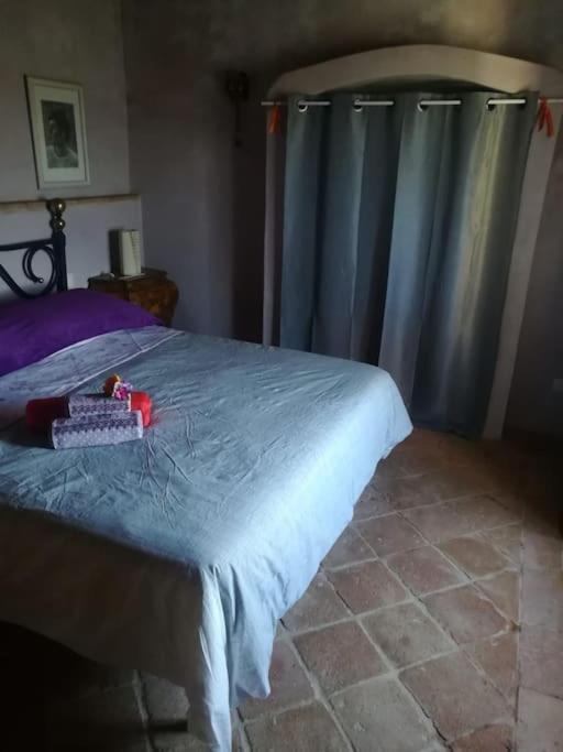 Casa Vacanza In Casale Vicino Orvieto Ficulle Экстерьер фото